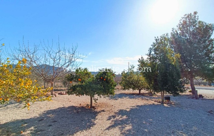 Sale - Villa  - Hondón de los Fráiles