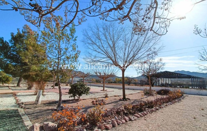 Sale - Villa  - Hondón de los Fráiles