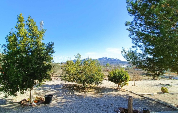 Sale - Villa  - Hondón de los Fráiles