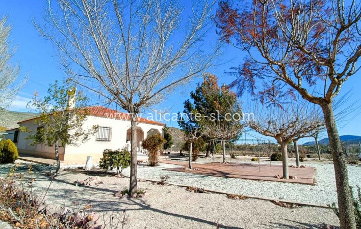 Sale - Villa  - Hondón de los Fráiles