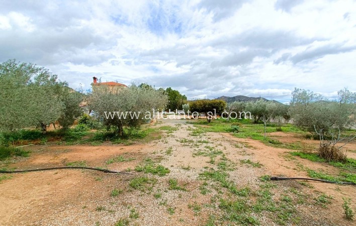 Sale - Villa  - Hondón de las Nieves