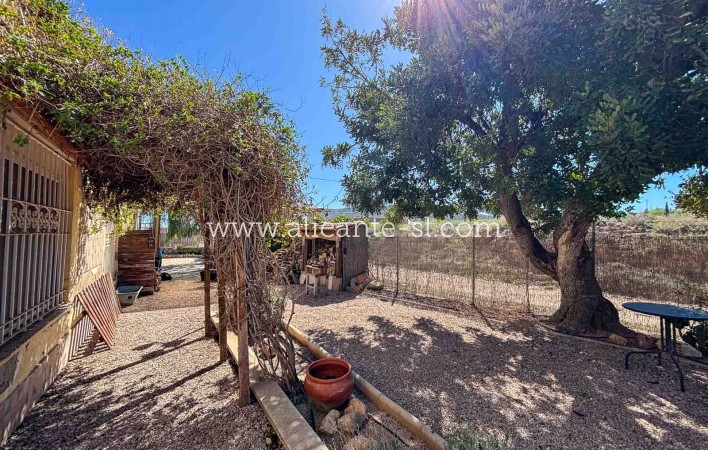 Sale - Finca - La Romana