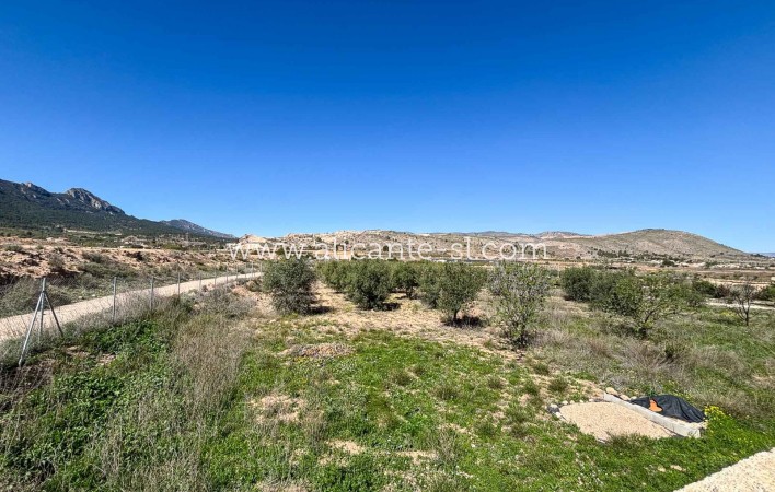 Sale - Finca - La Romana