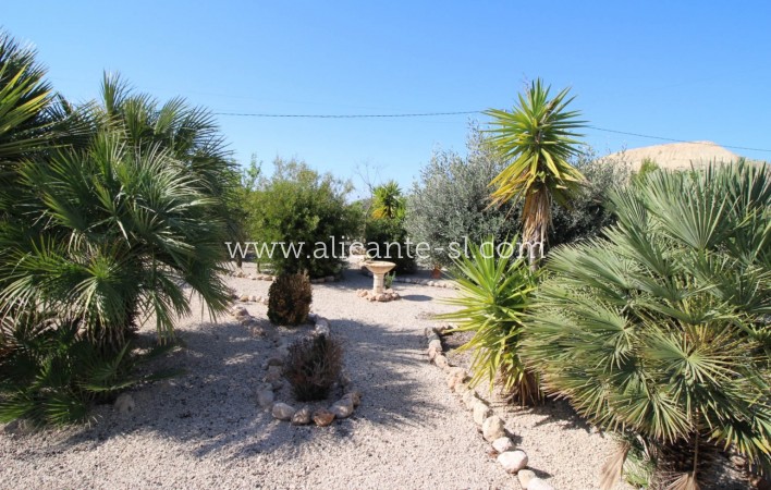 Venta - Villa  - Fortuna